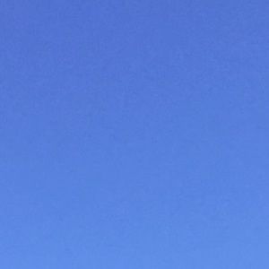 Meet your Posher, Zena